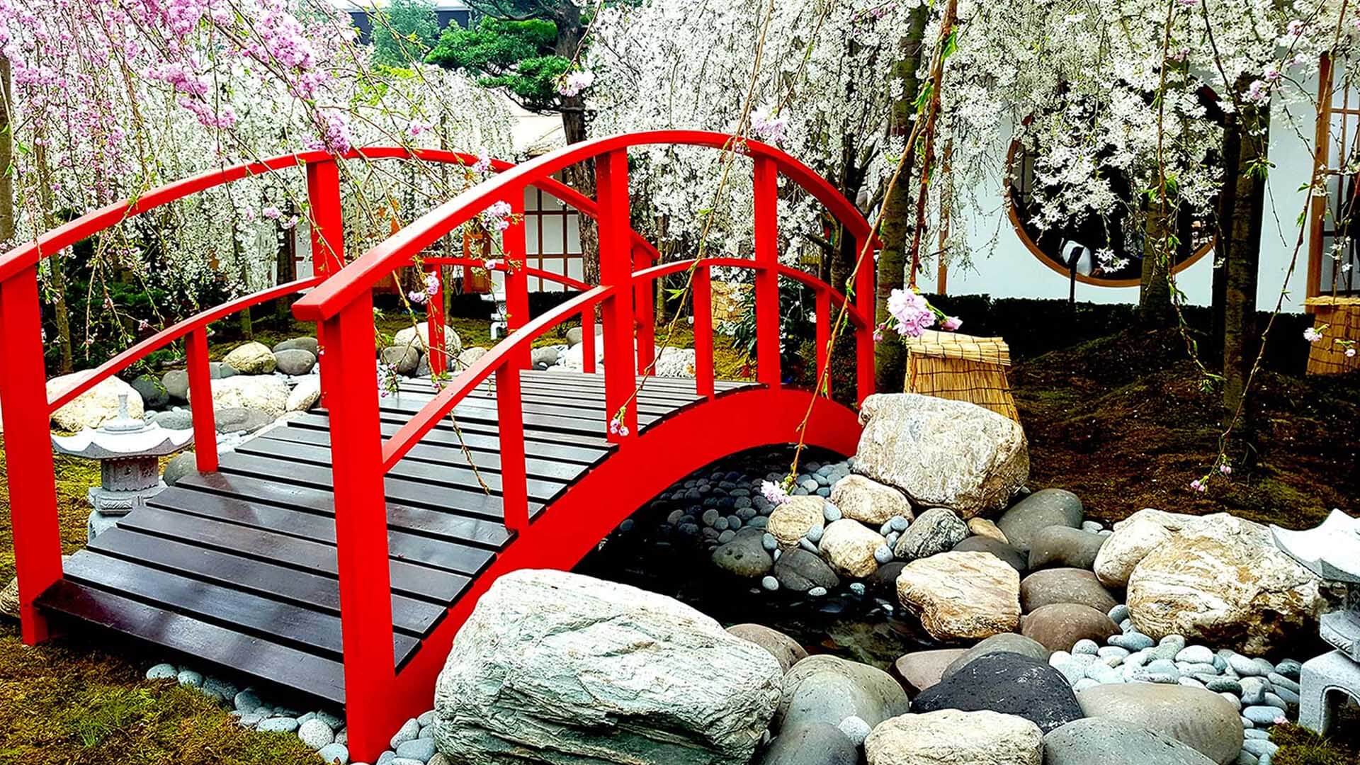 ทิวทัศน์สายน้ำไหล สะพานเล็กๆ และก้อนหิน ดอกซากุระในสวนญี่ปุ่น